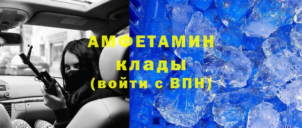 трава Гатчина