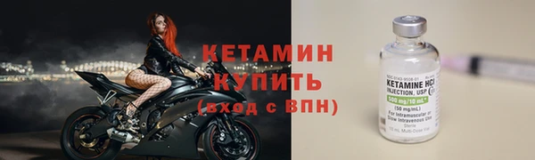 трава Гатчина
