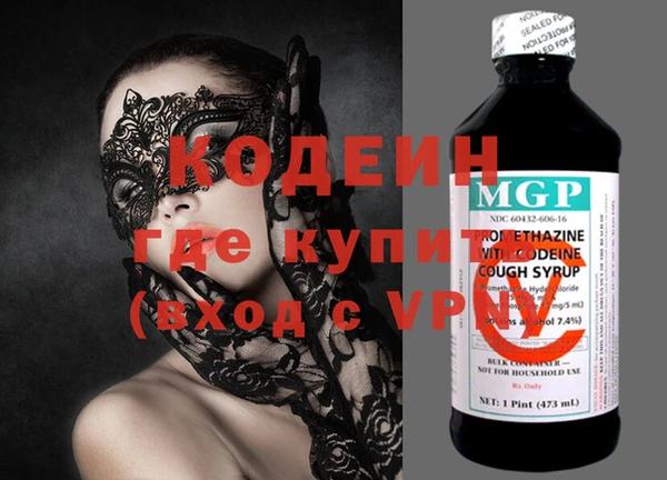 трава Гатчина
