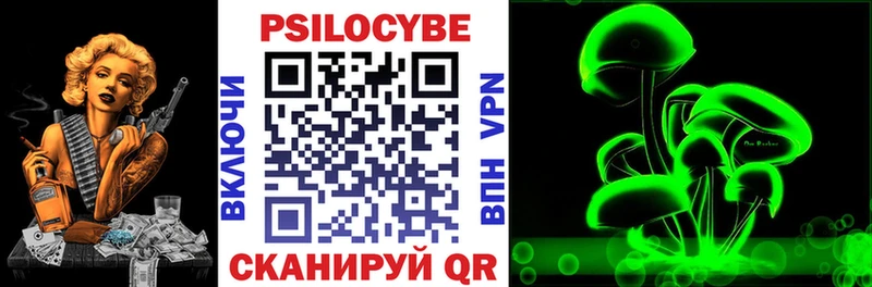Псилоцибиновые грибы Psilocybine cubensis  Щёкино 